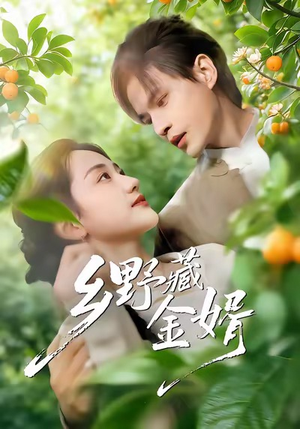 乡野藏金婿（50集）不用花钱看全剧