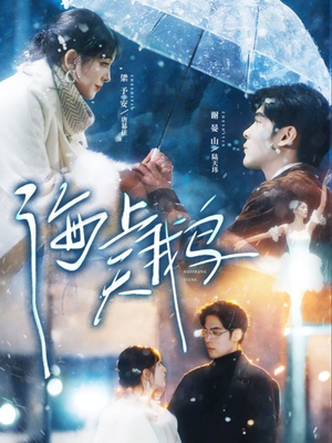 海上天鹅（70集）第一季