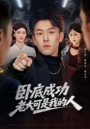 卧底成功老大可是我的人(99集) 卧底成功老大可是我的人(99集)精彩短剧追不停