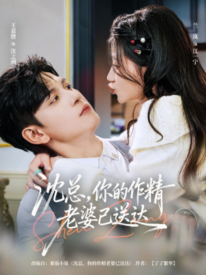 沈总，你的作精老婆已送达（94集）深深爱上这部剧