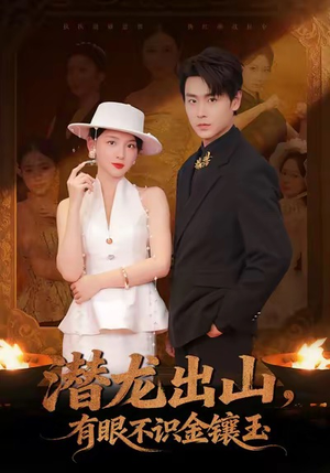 潜龙出山有眼不识金镶玉（78集）免费看