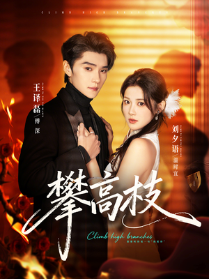 攀高枝（70集）最新热剧免费看