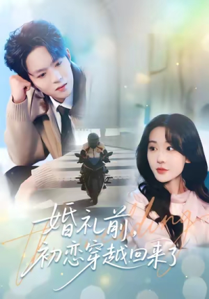婚礼前初恋穿越回来了（100集）在线看免费版