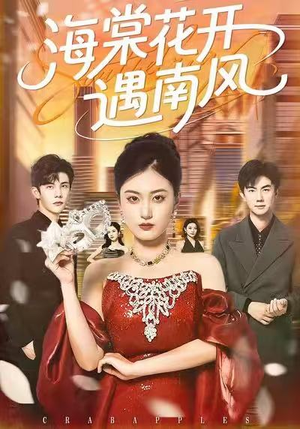 海棠花开遇南风（50集）在线观看全集