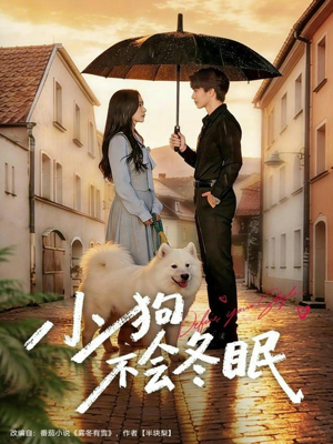 小狗不会冬眠(70集) 小狗不会冬眠(70集)短剧分享片段