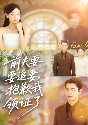 前夫要追妻，抱歉我领证了（81集）最火短剧推荐