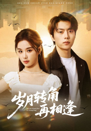 岁月转角再相逢(80集) 岁月转角再相逢(80集)女主角是谁