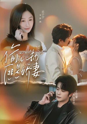 偷“心”劫匪是娇妻（61集）最新热播短剧