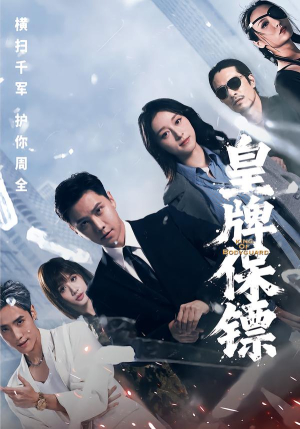皇牌保镖（66集）在线观看完整版