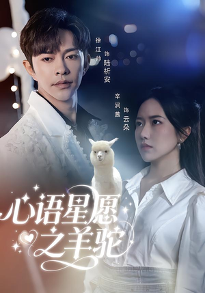 心语星愿之羊驼（60集）温柔追捕短剧
