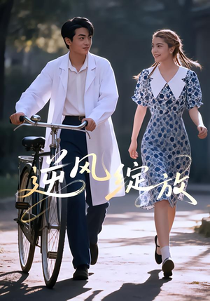 逆风绽放（55集）每天分享短剧