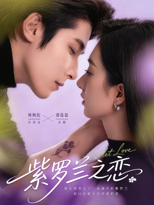 紫罗兰之恋（82集）完整版免费观看