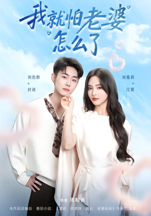 我就怕老婆怎么了（88集）真的好看吗