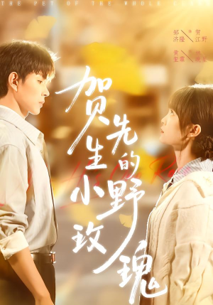 贺先生的小野玫瑰(99集) 贺先生的小野玫瑰(99集)精彩短剧来袭