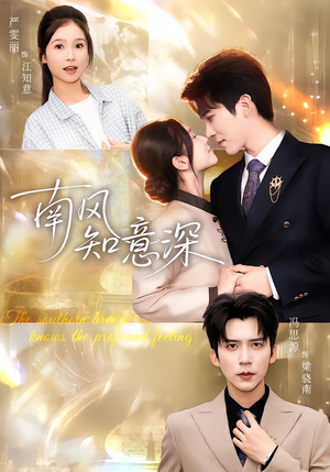 南风知意深（40集）看到了大结局
