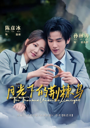 月光下的荆棘鸟(80集) 月光下的荆棘鸟(80集)河马免费短剧