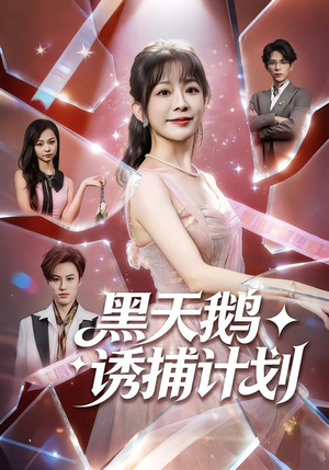 黑天鹅诱捕计划（81集）免费短剧合集