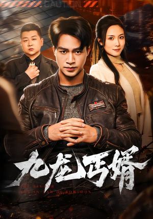 九龙丐婿（81集）在哪个平台能看