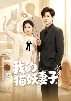 我的猫妖妻子（30集）今日短剧分享