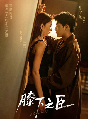 膝下之臣（56集）在线免费观看