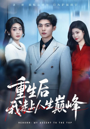 重生后我走上人生巅峰（80集）免费看全集