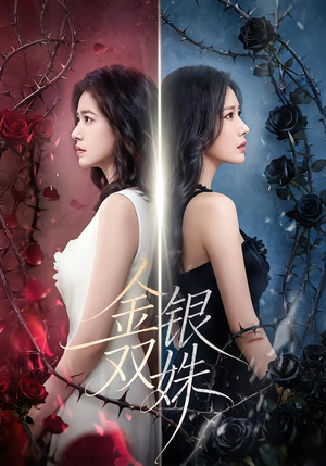 金银双姝（80集）在线播放