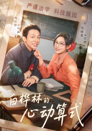 白桦林的心动算式（66集）短剧推荐分享