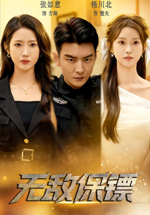 无敌保镖（62集）免费观看就是爽