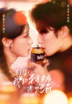 别摸！我的杀手女友是只猫（60集）短剧推荐更新中