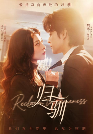 归驯（82集）好看短剧追不停