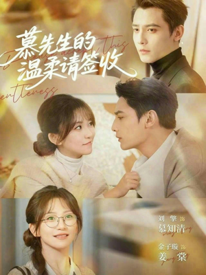 慕先生的温柔请签收（90集）经典老剧免费看
