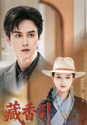 藏香引（63集）热播短剧免费看