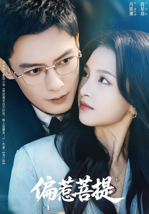 偏惹菩提（73集）一口气看完