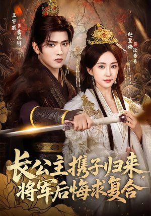 长公主携子归来，将军后悔求复合（80集）观看软件