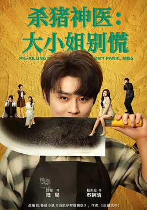杀猪神医，大小姐别慌（80集）短剧免费分享