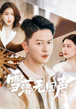 雪落无回声（60集）在哪个平台看好