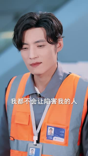 停飞后，我的航班坠毁了（100集）最后一集