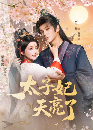 太子妃天亮了（80集）快来看短剧