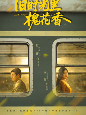 旧时光里槐花香（70集）大结局一气呵成