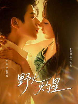 野火灼星（56集）最火短剧热播