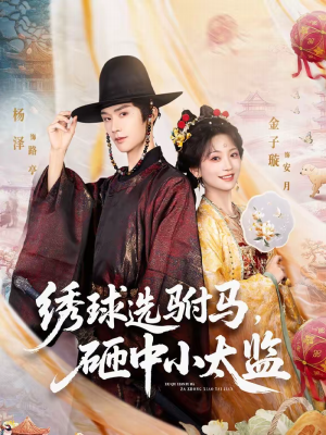 绣球选驸马，砸中小太监（81集）推荐热门短剧