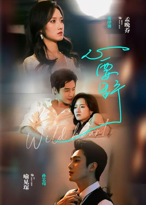 心要野（62集）免费看短剧全集