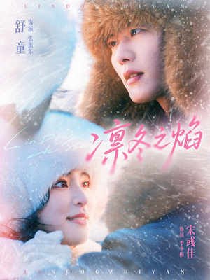 凛冬之焰（80集）短剧有好货推荐