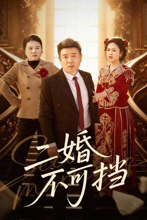二婚不可挡（36集）免费版