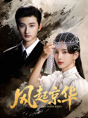 风Q京华（60集）热门短剧在线看