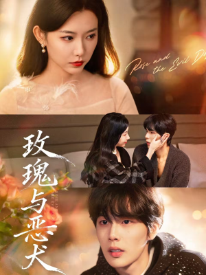 玫瑰与恶犬（80集）最火的短剧