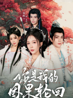你是我的因果轮回（100集）精彩短剧下载