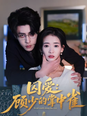 囚爱：顾少的掌中雀（70集）新短剧推荐