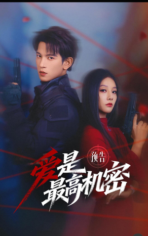 爱是最高机密（24集）一共多少集