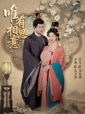 唯有相思意（100集）最新短剧抢先看